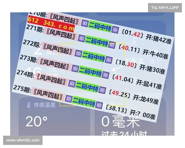 彩票工具全攻略 助你精准分析号码 提高中奖几率的实用技巧